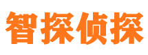 天峻市私家侦探